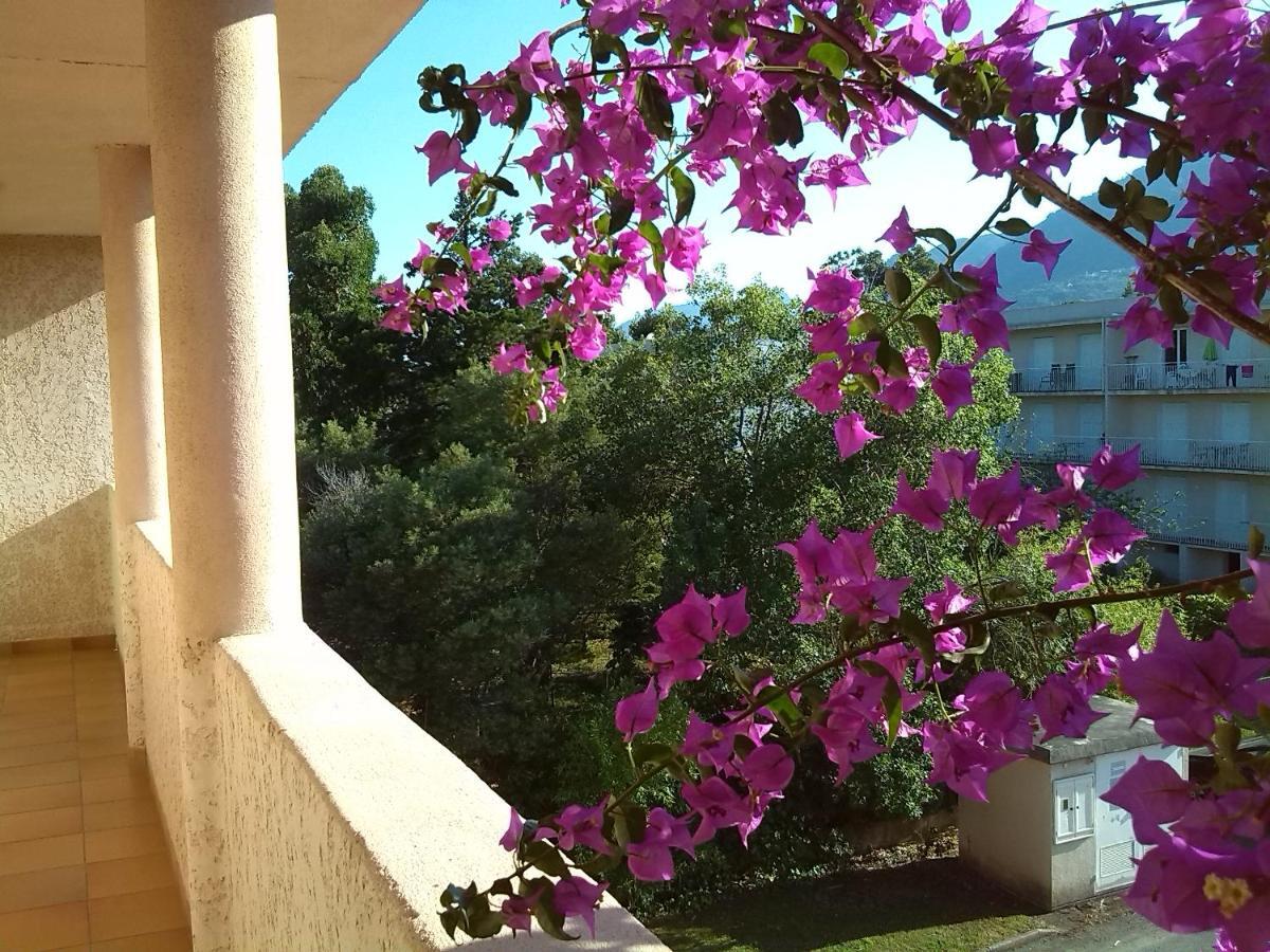 Cala Di Sognu Apartment San-Nicolao Ngoại thất bức ảnh